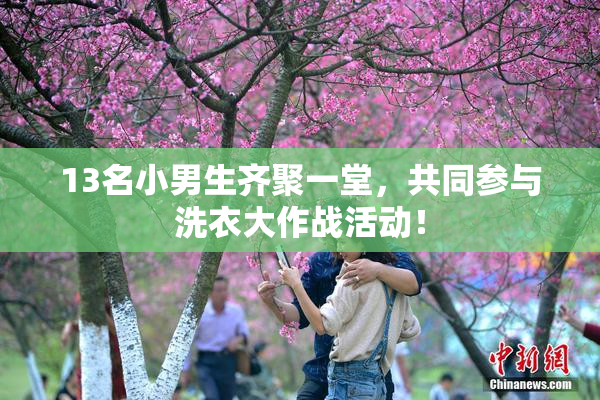 13名小男生齐聚一堂，共同参与洗衣大作战活动！