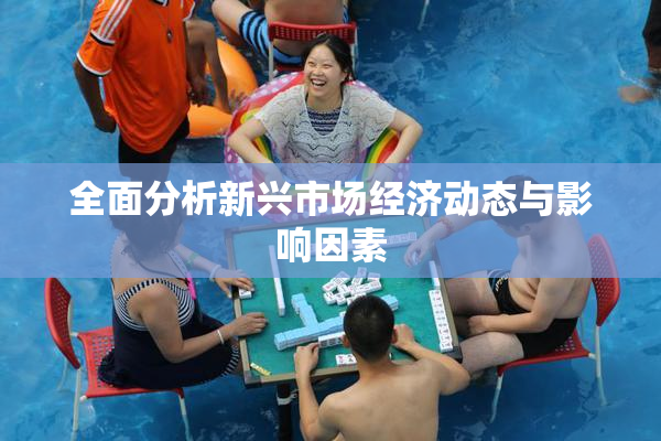 全面分析新兴市场经济动态与影响因素