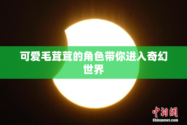 可爱毛茸茸的角色带你进入奇幻世界