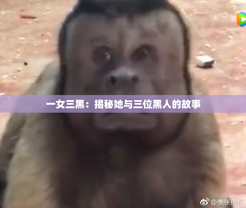 一女三黑：揭秘她与三位黑人的故事