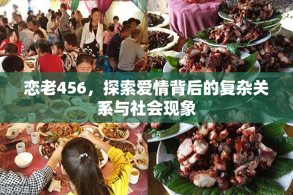 恋老456，探索爱情背后的复杂关系与社会现象