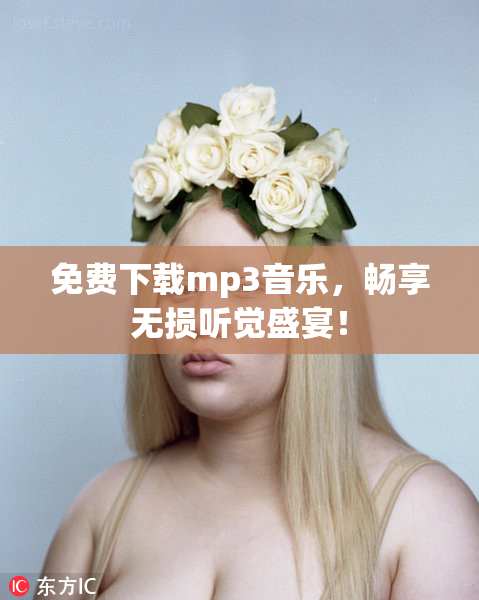 免费下载mp3音乐，畅享无损听觉盛宴！