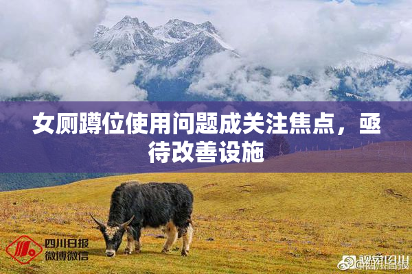 女厕蹲位使用问题成关注焦点，亟待改善设施