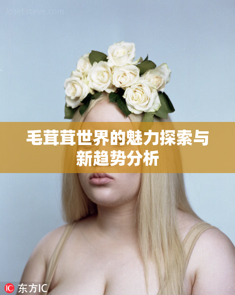 毛茸茸世界的魅力探索与新趋势分析
