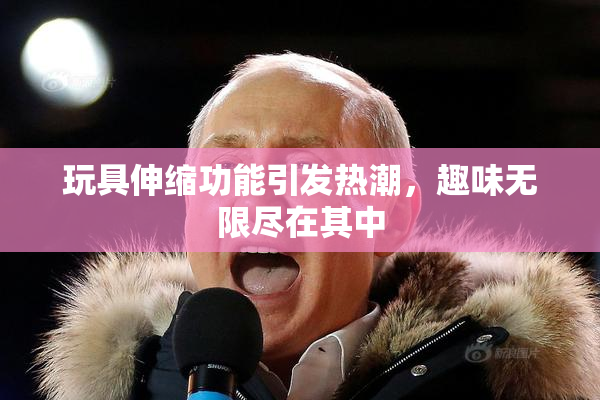 玩具伸缩功能引发热潮，趣味无限尽在其中