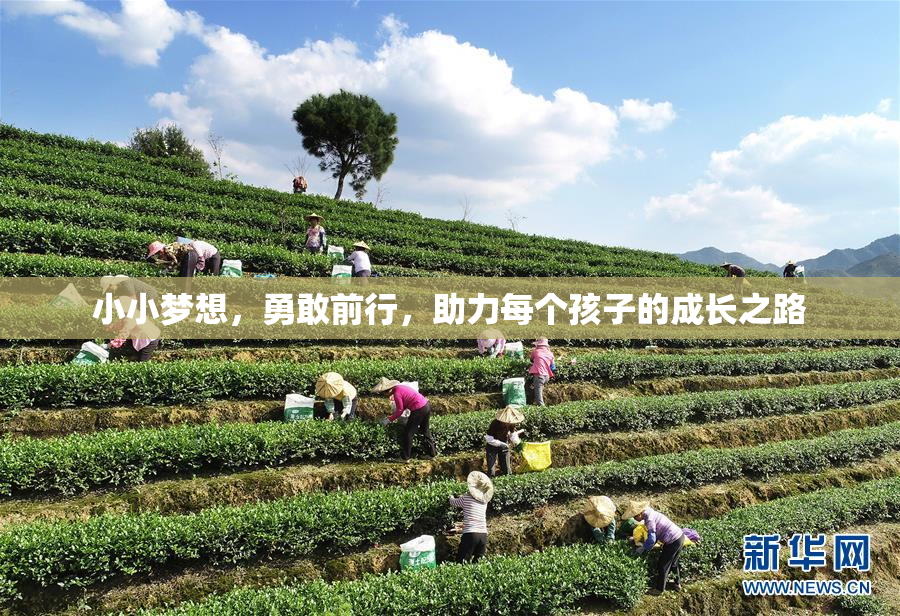 小小梦想，勇敢前行，助力每个孩子的成长之路
