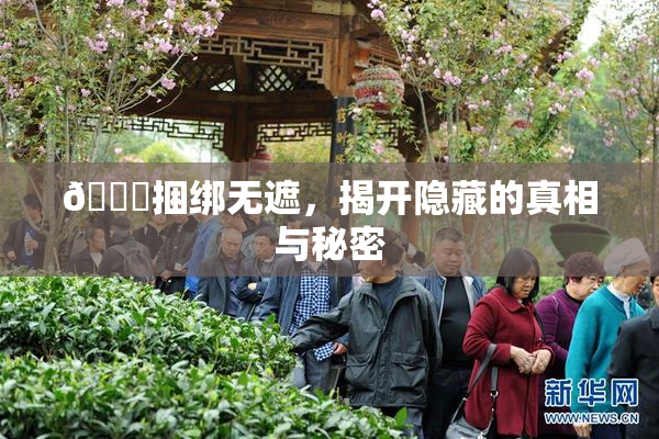 🔞捆绑无遮，揭开隐藏的真相与秘密