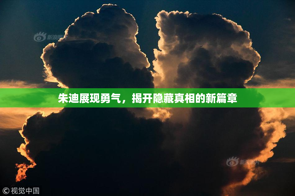 朱迪展现勇气，揭开隐藏真相的新篇章