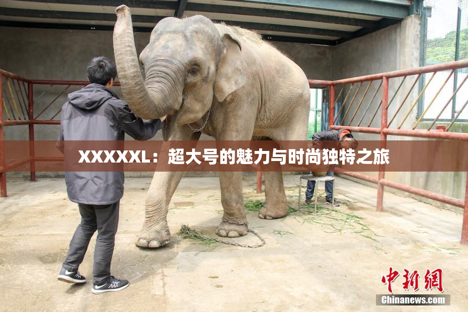 XXXXXL：超大号的魅力与时尚独特之旅