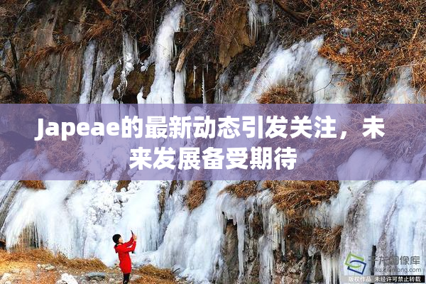 Japeae的最新动态引发关注，未来发展备受期待