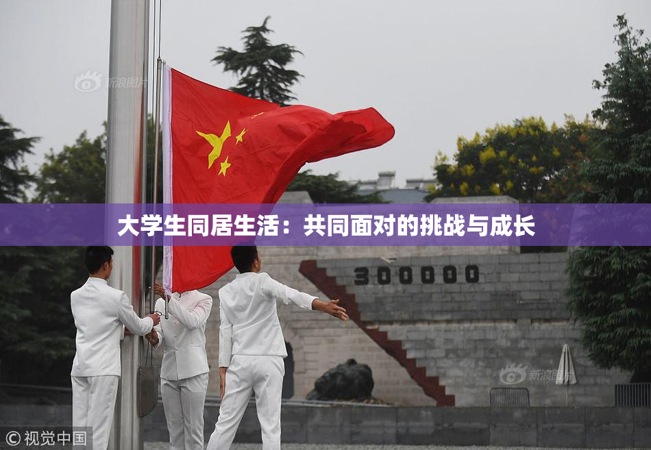 大学生同居生活：共同面对的挑战与成长