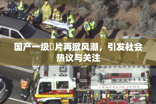 国产一级婬片再掀风潮，引发社会热议与关注