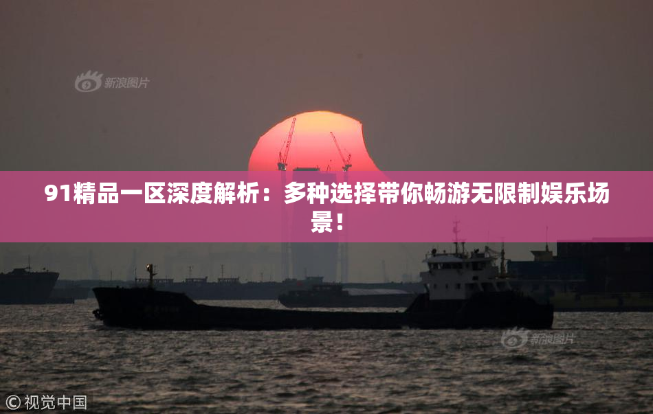91精品一区深度解析：多种选择带你畅游无限制娱乐场景！