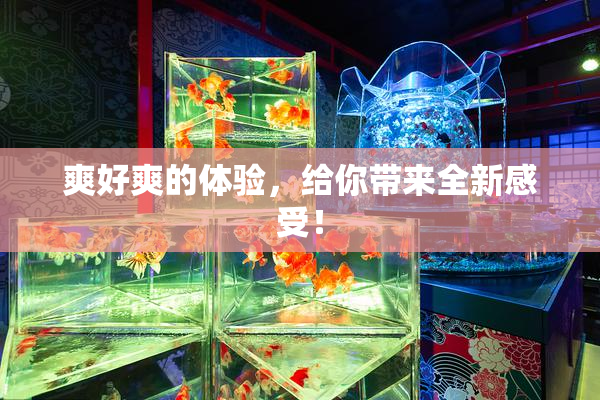 爽好爽的体验，给你带来全新感受！