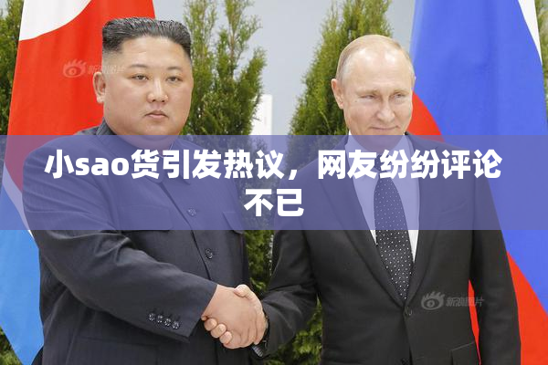 小sao货引发热议，网友纷纷评论不已