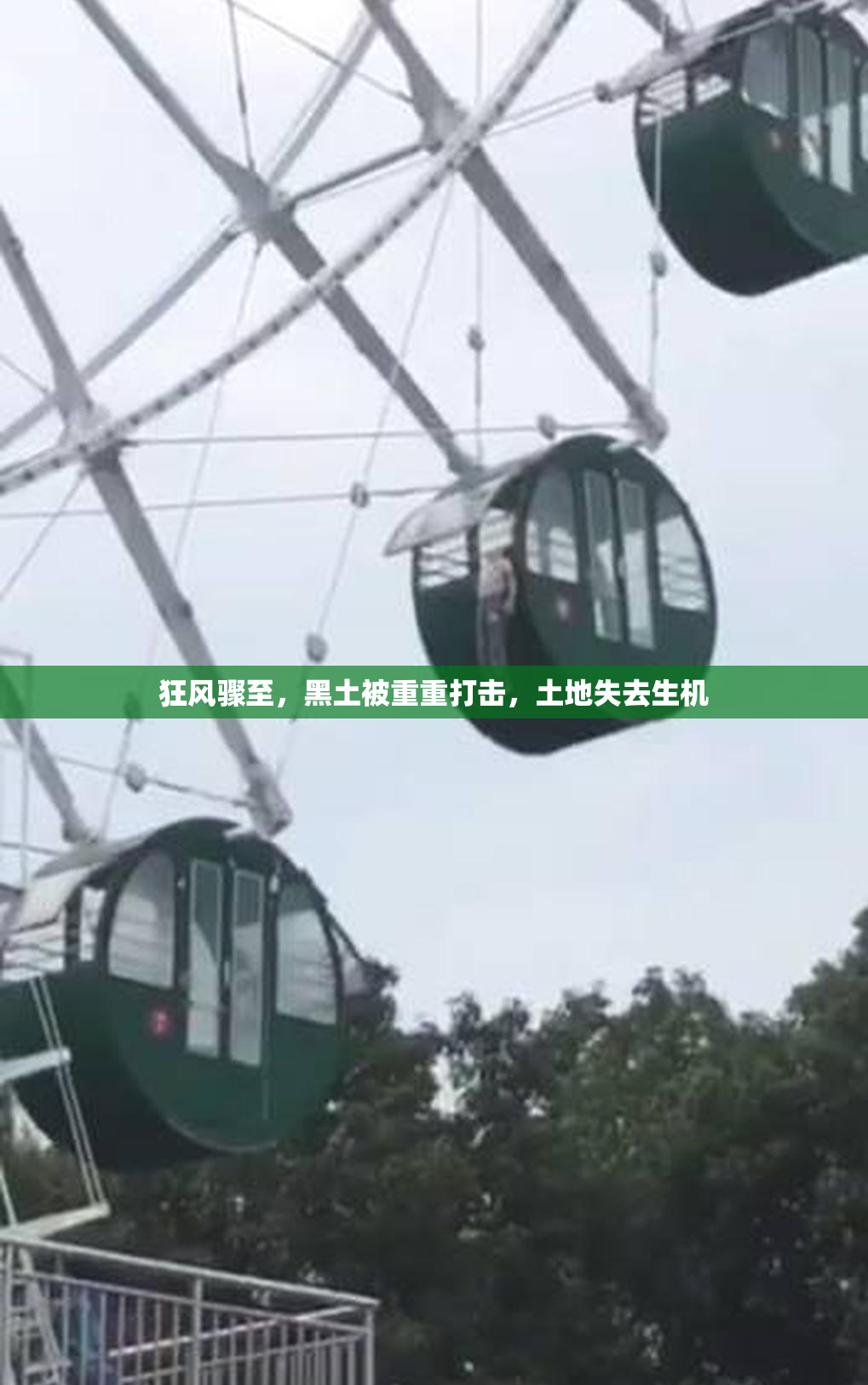 狂风骤至，黑土被重重打击，土地失去生机