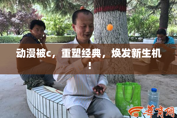 动漫被c，重塑经典，焕发新生机！