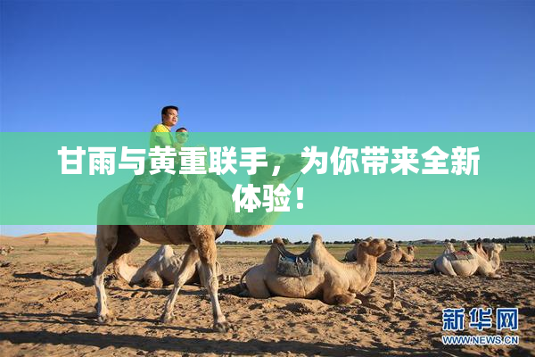 甘雨与黄重联手，为你带来全新体验！