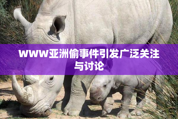 WWW亚洲偷事件引发广泛关注与讨论