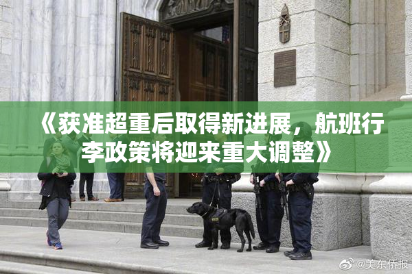 《获准超重后取得新进展，航班行李政策将迎来重大调整》