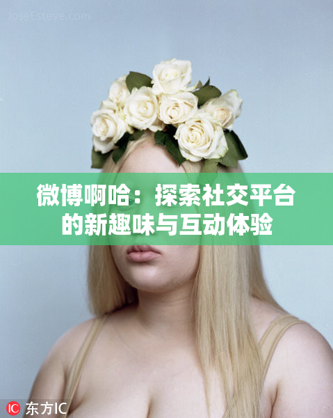 微博啊哈：探索社交平台的新趣味与互动体验