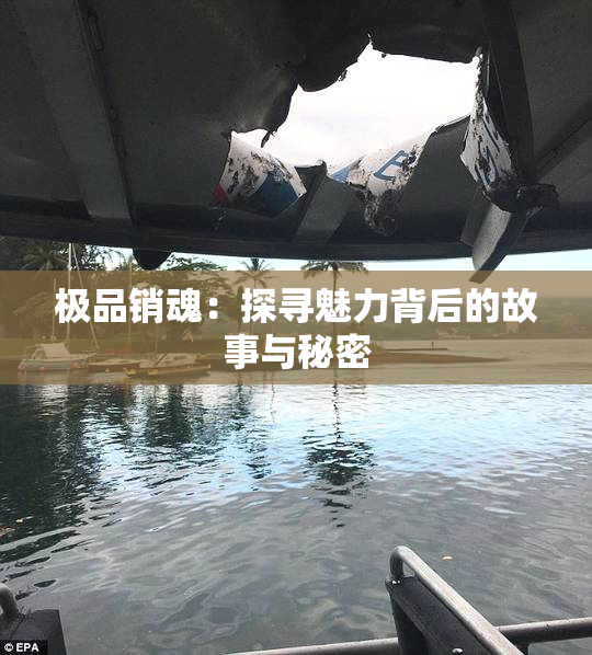 极品销魂：探寻魅力背后的故事与秘密