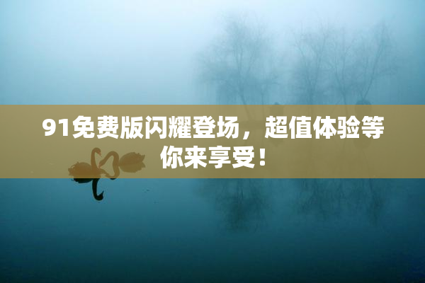 91免费版闪耀登场，超值体验等你来享受！