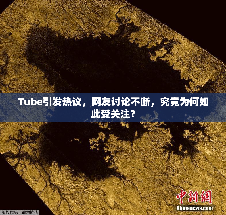 Tube引发热议，网友讨论不断，究竟为何如此受关注？