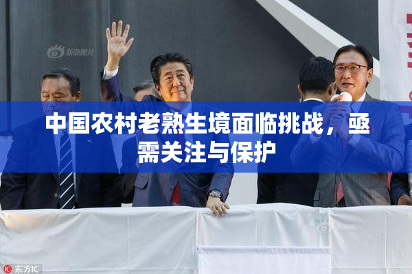中国农村老熟生境面临挑战，亟需关注与保护