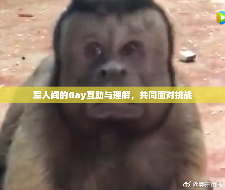 军人间的Gay互助与理解，共同面对挑战