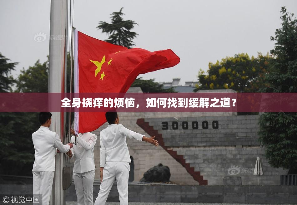 全身挠痒的烦恼，如何找到缓解之道？