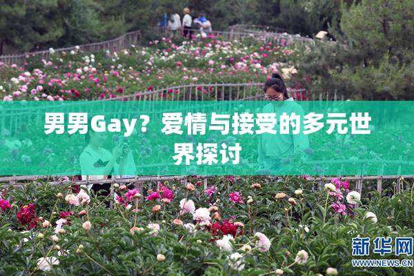男男Gay？爱情与接受的多元世界探讨