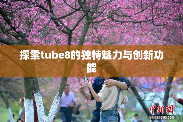 探索tube8的独特魅力与创新功能