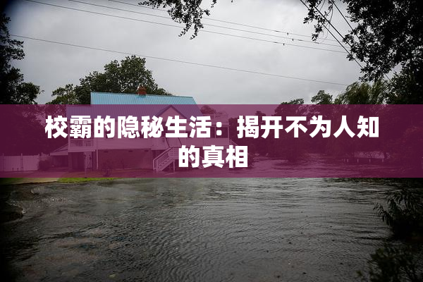 校霸的隐秘生活：揭开不为人知的真相