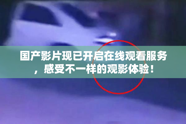 国产影片现已开启在线观看服务，感受不一样的观影体验！