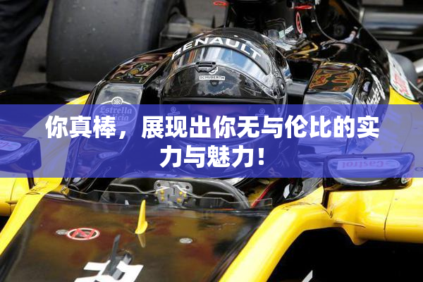 你真棒，展现出你无与伦比的实力与魅力！