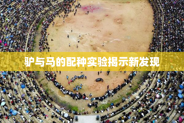 驴与马的配种实验揭示新发现