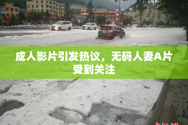 成人影片引发热议，无码人妻A片受到关注