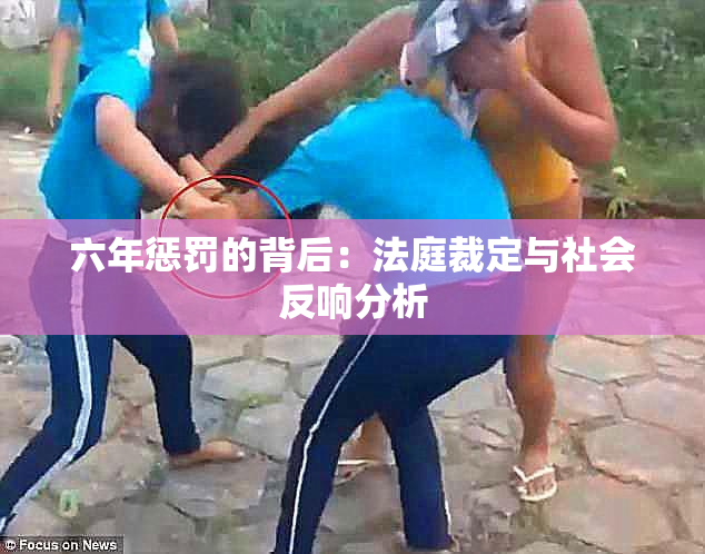 六年惩罚的背后：法庭裁定与社会反响分析