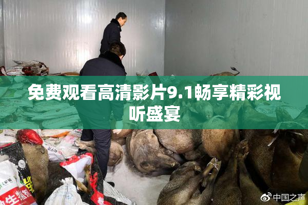免费观看高清影片9.1畅享精彩视听盛宴