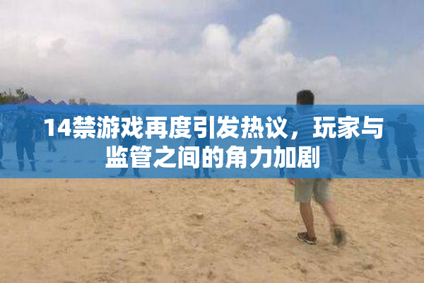 14禁游戏再度引发热议，玩家与监管之间的角力加剧