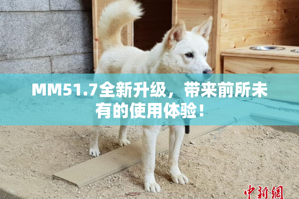 MM51.7全新升级，带来前所未有的使用体验！