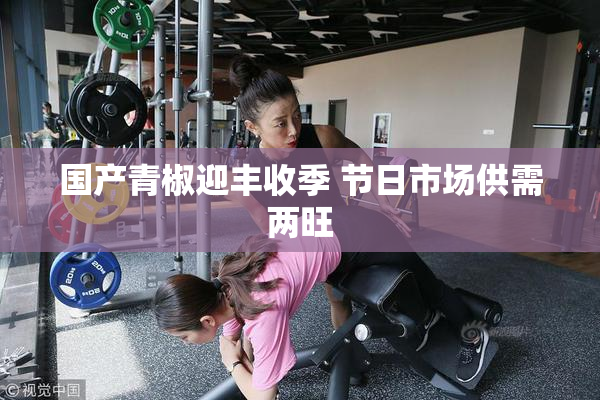 国产青椒迎丰收季 节日市场供需两旺