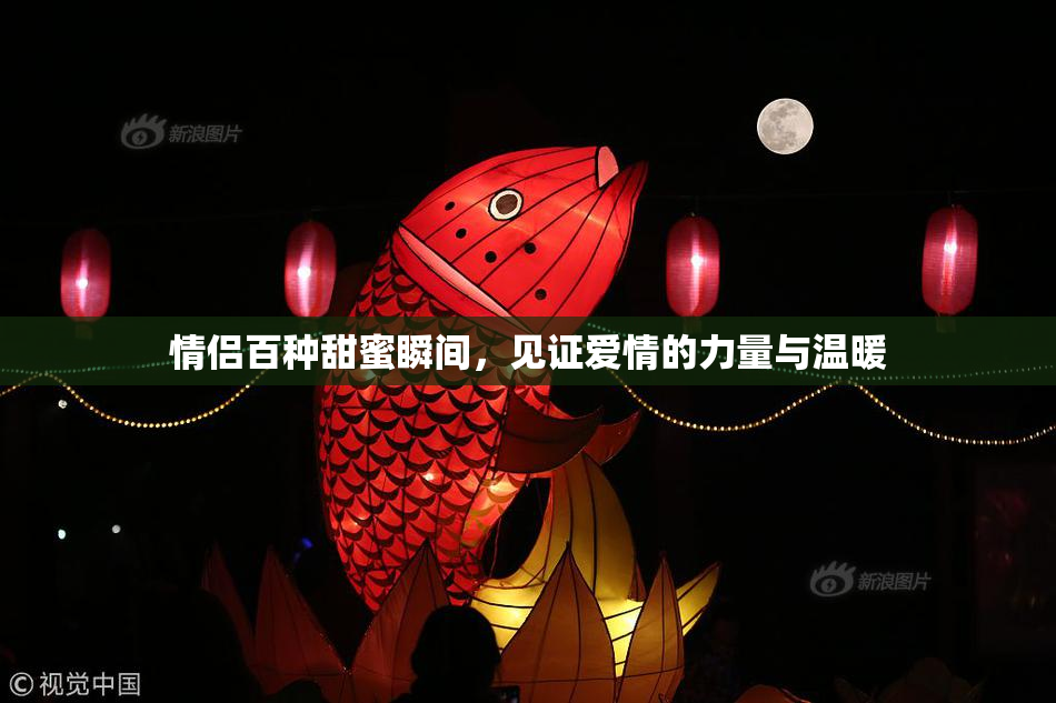 情侣百种甜蜜瞬间，见证爱情的力量与温暖