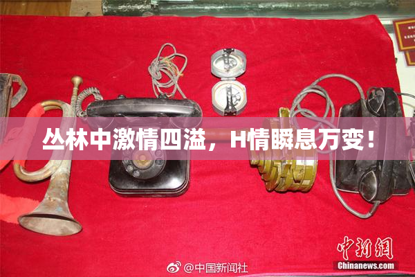 丛林中激情四溢，H情瞬息万变！