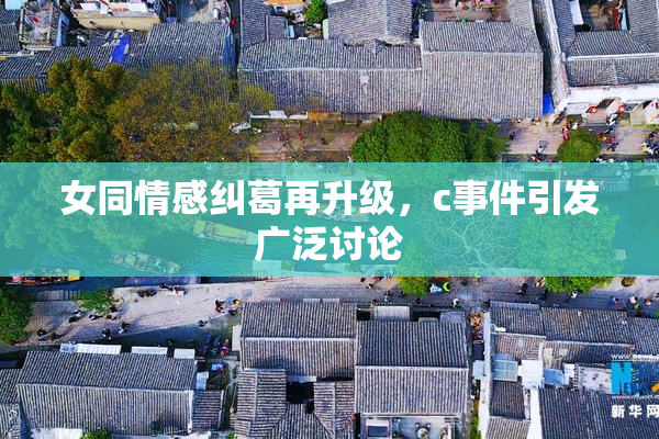 女同情感纠葛再升级，c事件引发广泛讨论