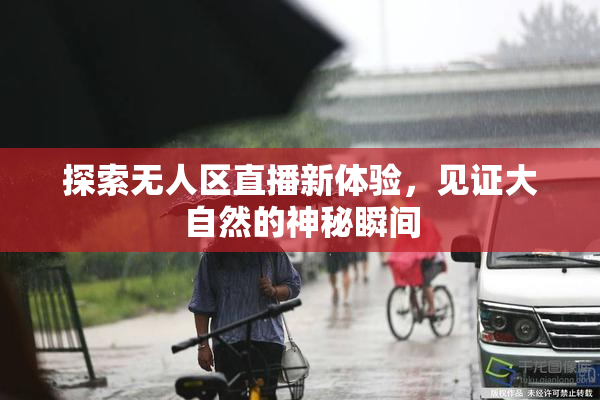 探索无人区直播新体验，见证大自然的神秘瞬间