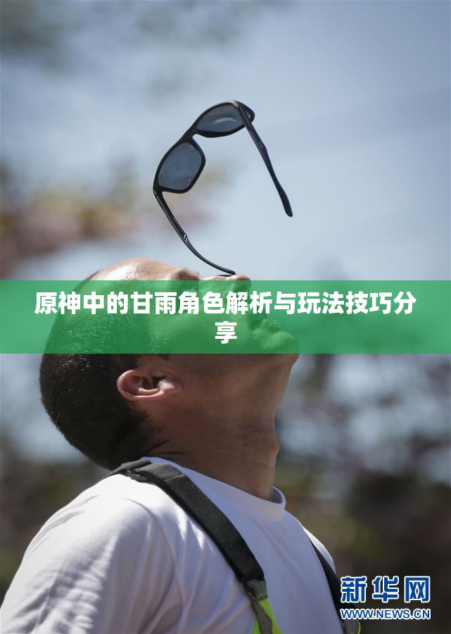 原神中的甘雨角色解析与玩法技巧分享