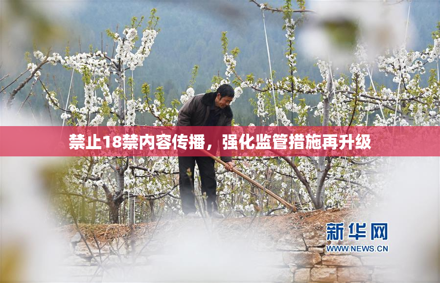 禁止18禁内容传播，强化监管措施再升级