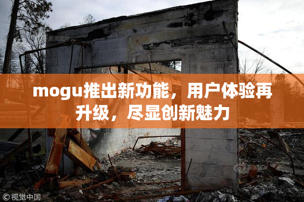 mogu推出新功能，用户体验再升级，尽显创新魅力